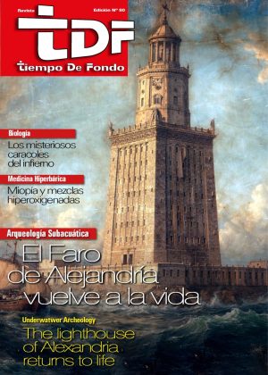 Revista Tiempo de Fondo 80