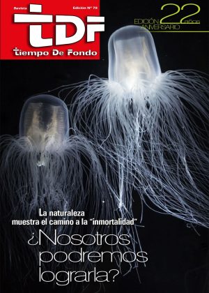 Tapa Revista Tiemo de Fondo 78